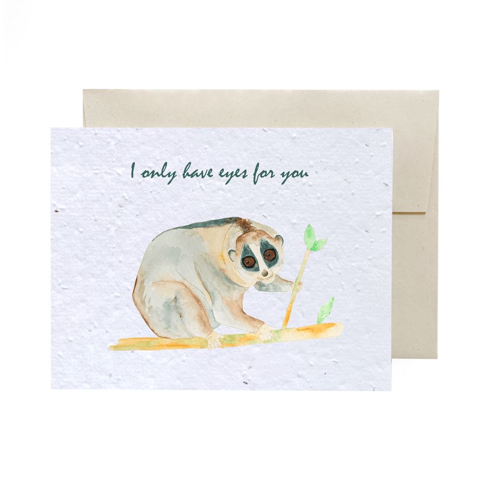 Greeting Cards - Plantable Seed Paper - Miscellaneous