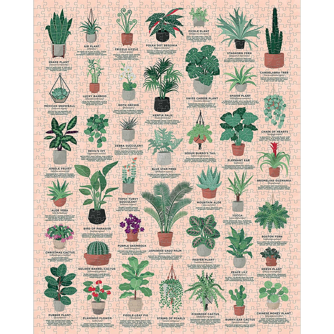 House of Plants 1000 Jigsaw Puzzle by Ridley's