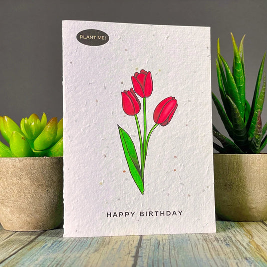 Plantable Greetings Cards - Birthday