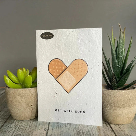 Plantable Greetings Cards - Get Well Soon