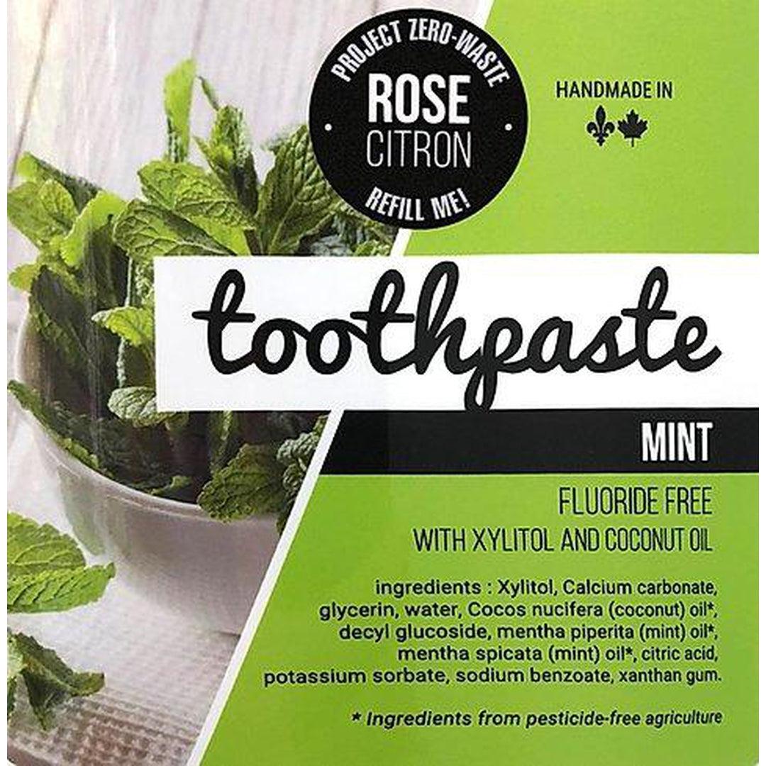 Refillable Toothpaste - Frosted Mint