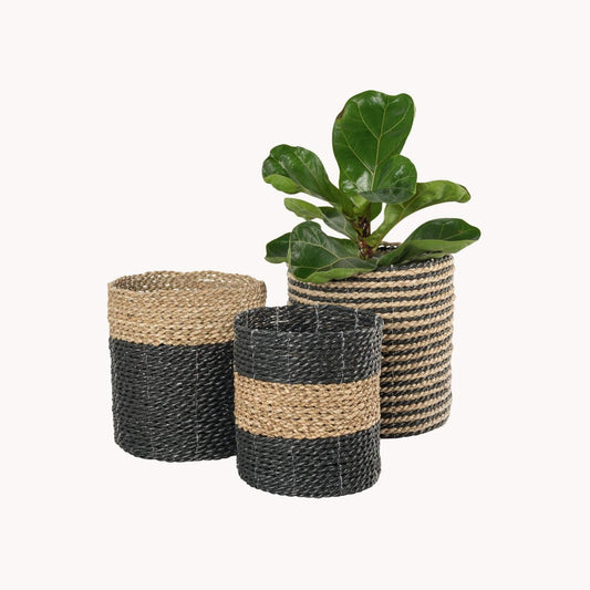 Seagrass Plant Baskets - Black/Natural