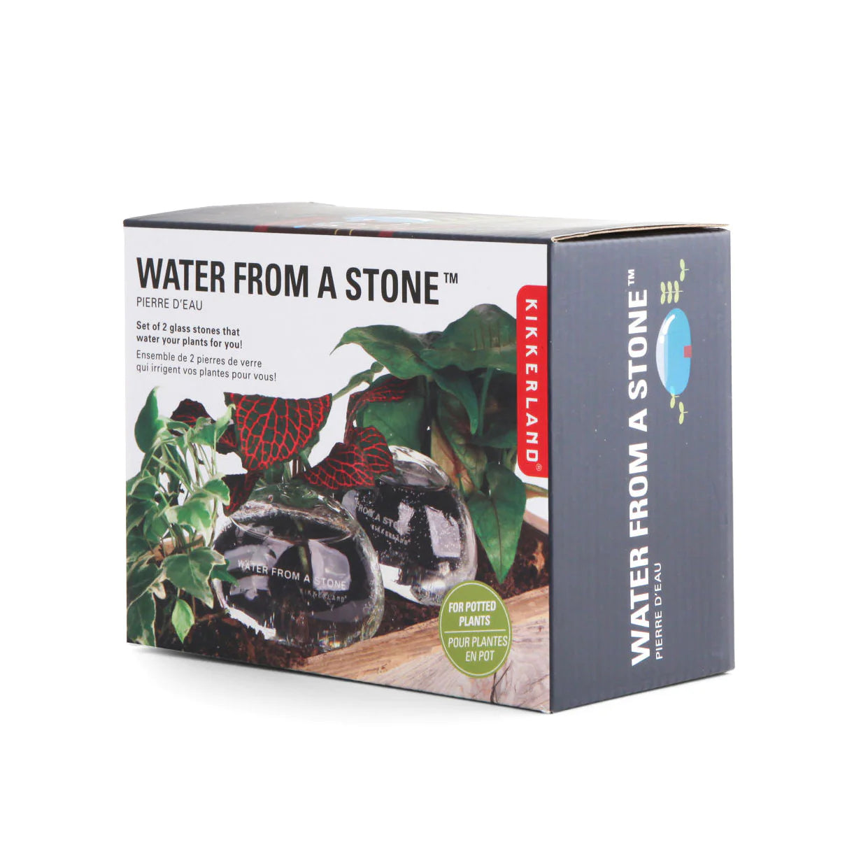 Water Rocks Set of 2 - Kikkerland